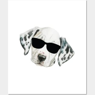 Funny Dalmatian Puppy Dog with sunglasses Posters and Art